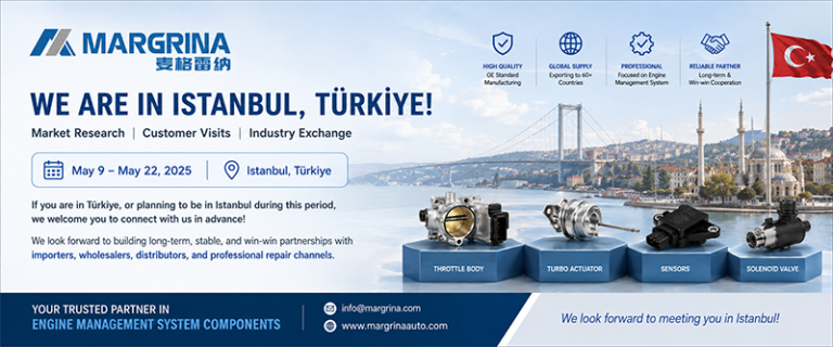 Expanding Our Presence in Türkiye: Business Visit to Istanbul from May 9 to 22