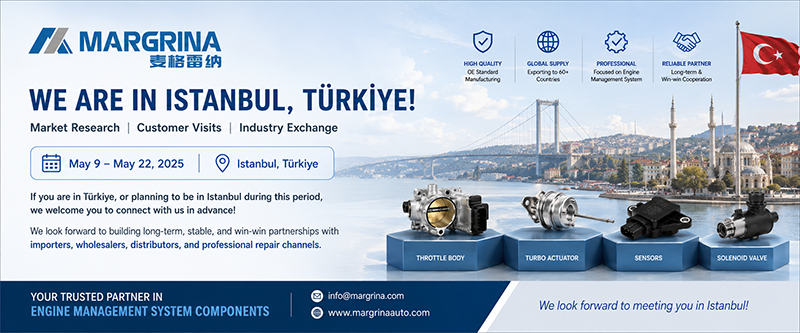 Expanding Our Presence in Türkiye: Business Visit to Istanbul from May 9 to 22